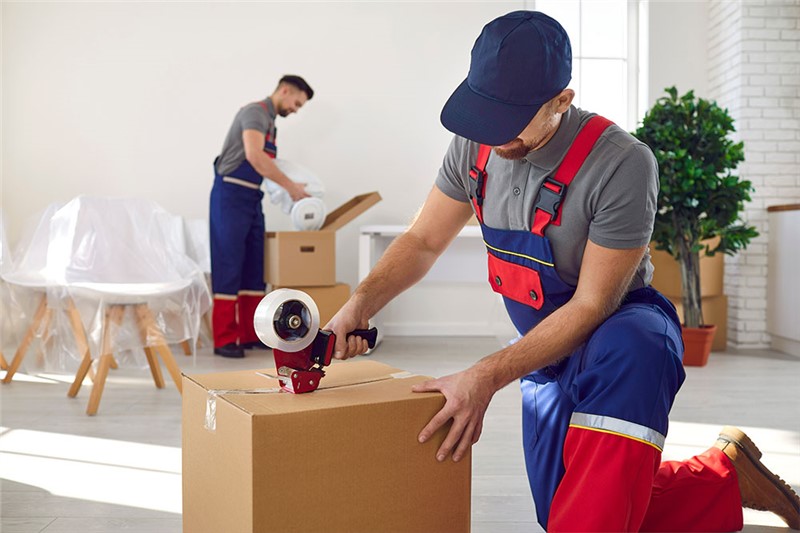 3 Benefits of Using Professional Packers for Your Next Move