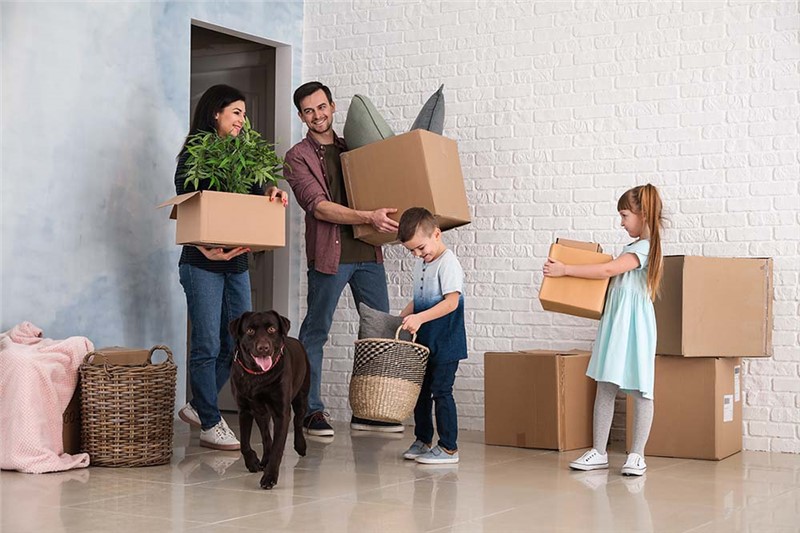 Tips for a Successful Move with Pets