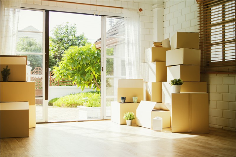 Make Your Summer Long-Distance Move a Breeze with a Professional Moving Company